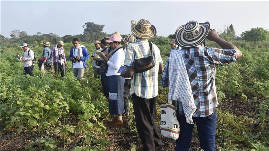 Reparación efectiva e integral de las víctimas
