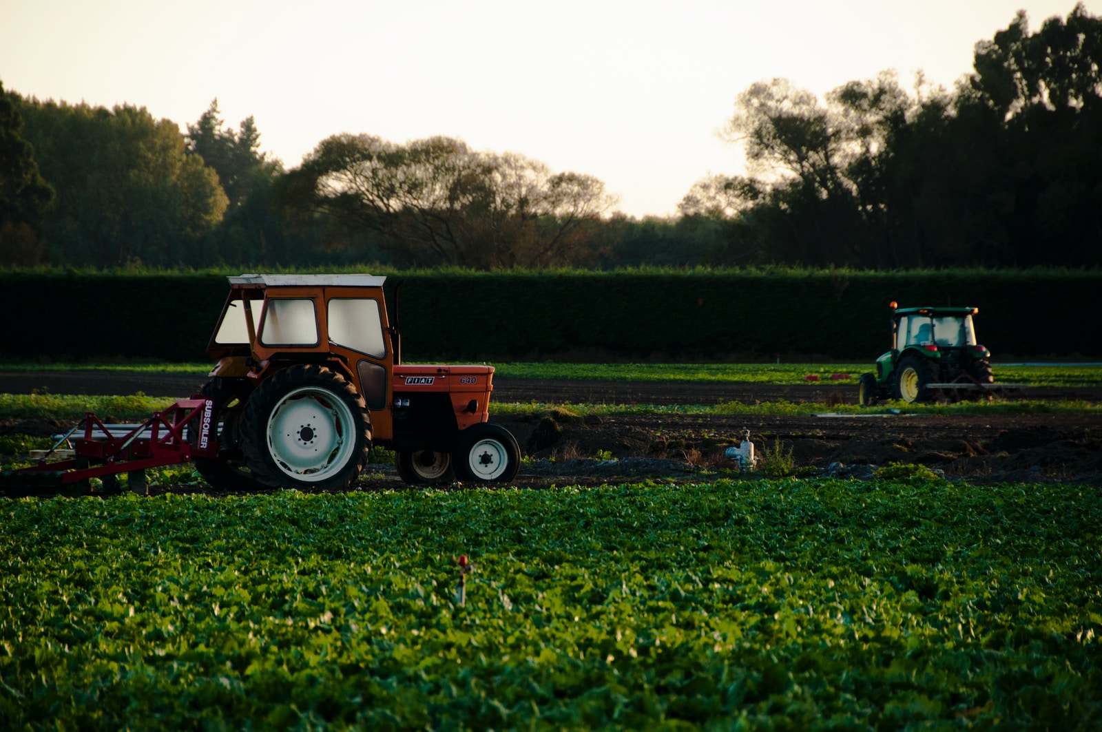 Del Campo a la Nube: Transformación Digital para las Cadenas Productivas del Agro